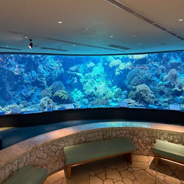 沖縄美ら海水族館のサンゴ礁水槽