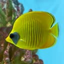 スライドパズル